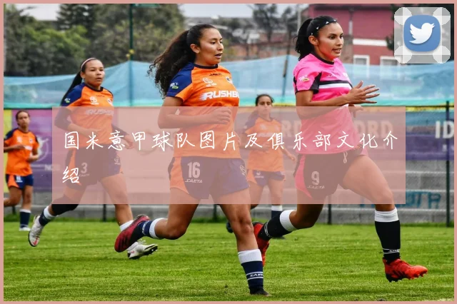 国米意甲球队图片及俱乐部文化介绍