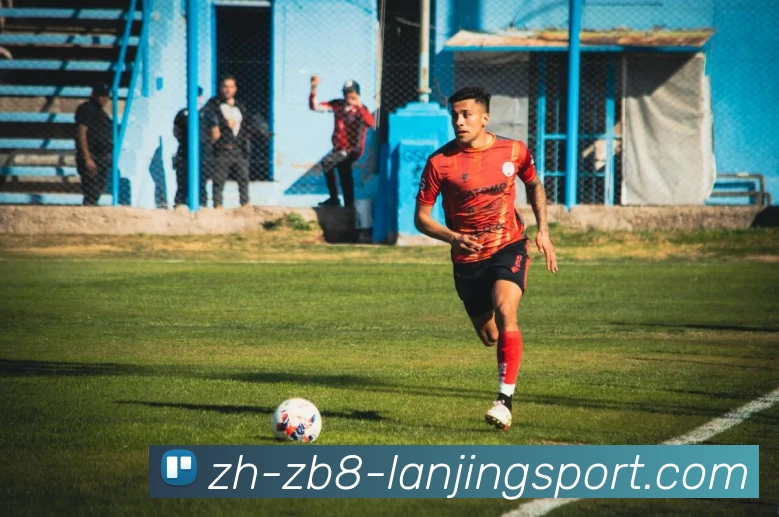 蓝鲸体育平台生态图